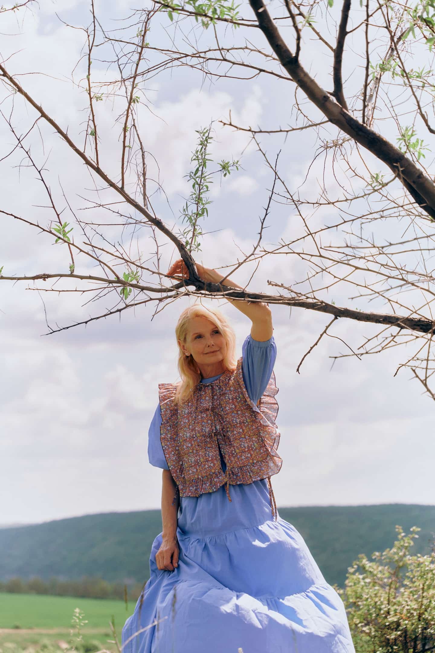 Model in Symphony of Moments top